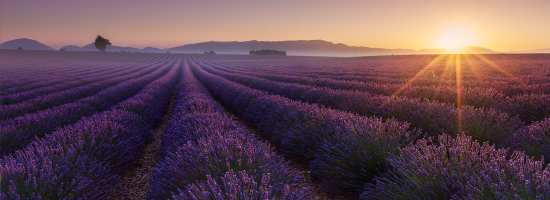 Provence - France